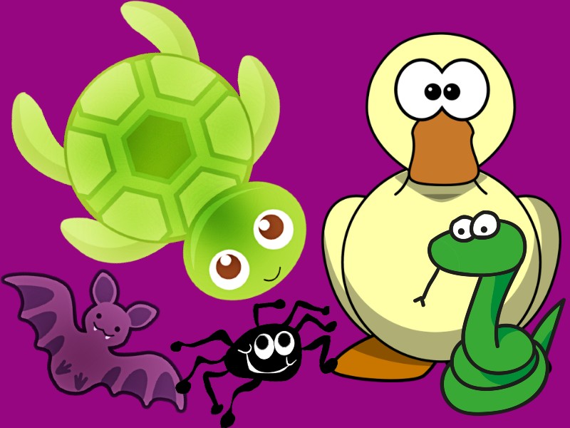 bild på en anka, en orm, en sköldpadda, en fladdermus och en spindel